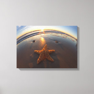 Starvis op strand canvas afdruk