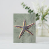 Starvis Paarse zee ster op strand Briefkaart (Staand voorkant)