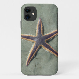 Starvis Paarse zee ster op strand iPhone 11 Hoesje
