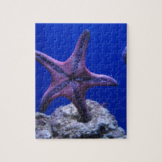 Starvis, Star Bright! Legpuzzel (Verticaal)