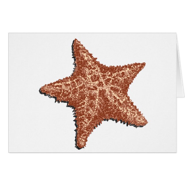 Starvissen (Voorkant Horizontaal)