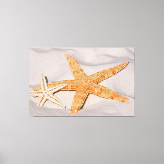 Starvissen Canvas Afdruk