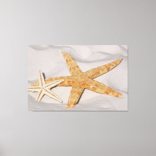 Starvissen Canvas Afdruk (Voorkant)