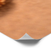 Starvissen Poster (Hoek)