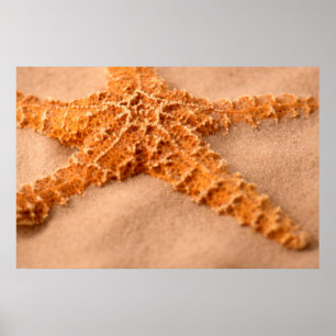 Starvissen Poster