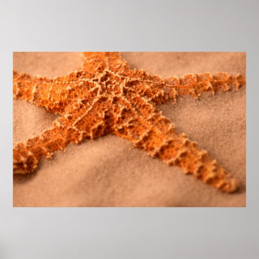Starvissen Poster (Voorkant)