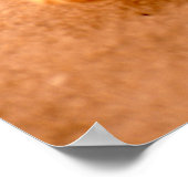 Starvissen Poster (Hoek)