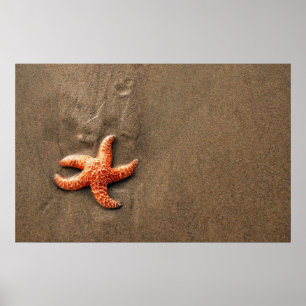 Starvissen Poster