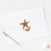 Starvissen Ronde Sticker (Envelop)