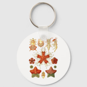 Starvissen Sleutelhanger