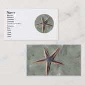 Starvissen Visitekaartje (Voorkant / Achterkant)
