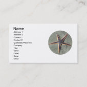 Starvissen Visitekaartje (Voorkant)