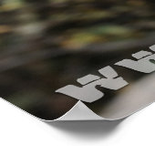 starVmax Poster #3 (Hoek)