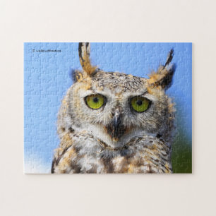 Starwedstrijd met een prachtige Amerikaanse oehoe Legpuzzel