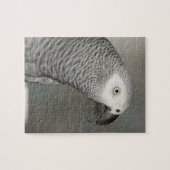 State African Gray Parrot Legpuzzel (Horizontaal)