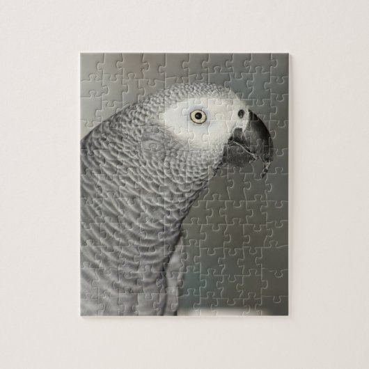 State African Gray Parrot Legpuzzel (Verticaal)