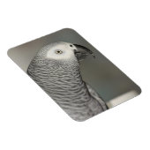 State African Gray Parrot Magneet (Rechterzijde)