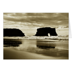 State Beach Natural Bridges