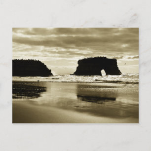 State Beach Natural Bridges Briefkaart