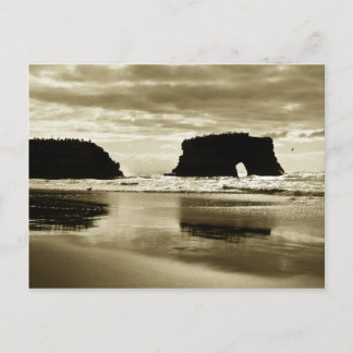 State Beach Natural Bridges Briefkaart