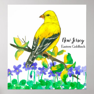 State Bird of New Jersey Eastern Goldfinch Poster