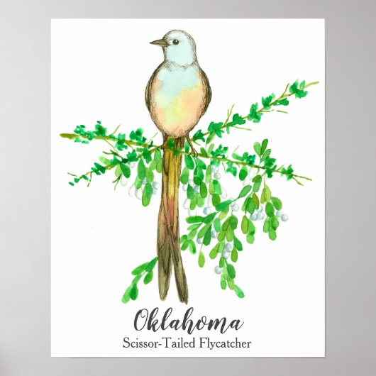 State Bird of Oklahoma Scissor Tailed Flycatcher Poster (Voorkant)
