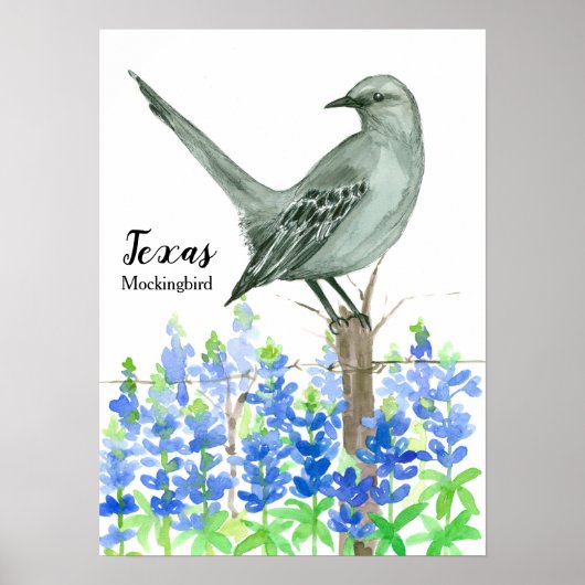 State Bird of Texas Mockingbird Poster (Voorkant)