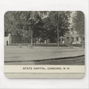 State Capitol, NH State Bldg, Columbian Exposition Muismat