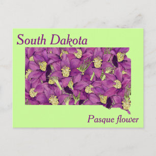 State Flower Collage Map South Dakota Briefkaart