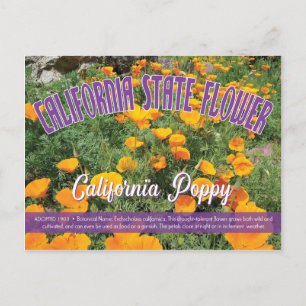 State Flower of California, the California Poppy Briefkaart