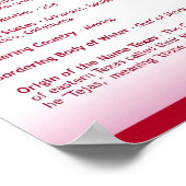 State of Texas, TX Posters (Coin)