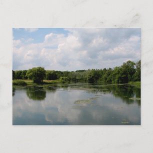 State Park Beaver Briefkaart