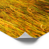 State Park beer Butte, South Dakota Poster (Hoek)