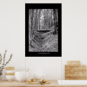 State Park Big Basin Redwood Poster (Keuken)