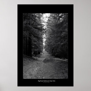 State Park Big Basin Redwood Poster