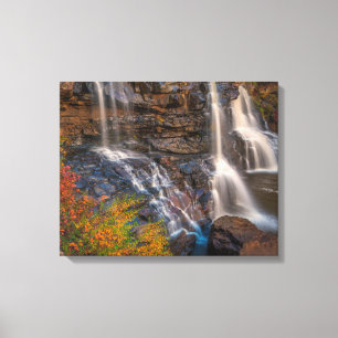 State Park Blackwater Herfsten West Virginia Canvas Afdruk
