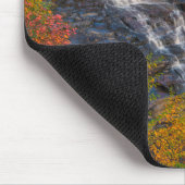 State Park Blackwater Herfsten | West Virginia Muismat (Hoek)