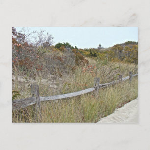 State Park Dunes and Fence Island Beach Briefkaart