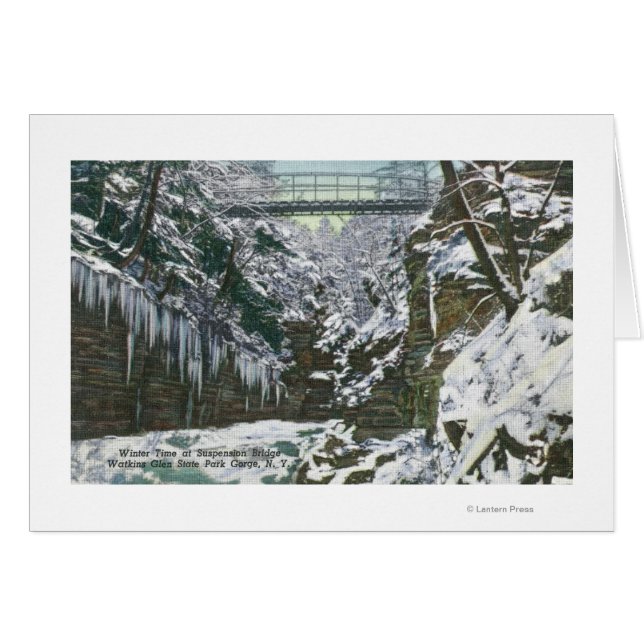 State Park Gorge Suspension Bridge Uitzicht in (Voorkant Horizontaal)