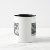 State Park Gorge Suspension Bridge Uitzicht in Mok (Midden)