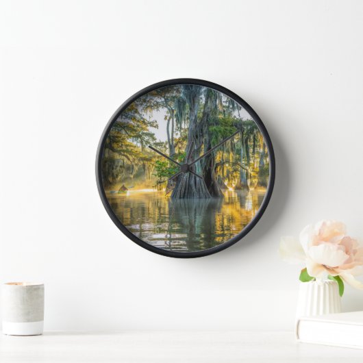 State Park Lake Fausse Pointe (Huis)