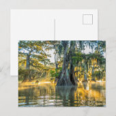 State Park Lake Fausse Pointe Briefkaart (Voorkant / Achterkant)