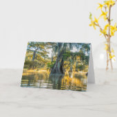 State Park Lake Fausse Pointe Kaart (Gele Bloem)