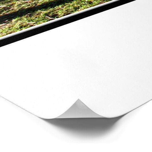 State Park Letchworth - Tea Table Rock Poster (Hoek)