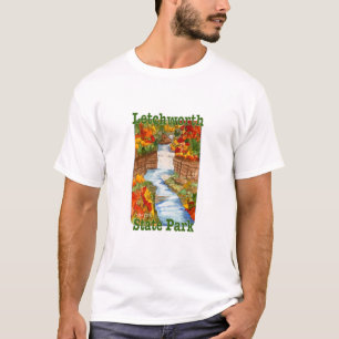 State Park, New York T-shirt
