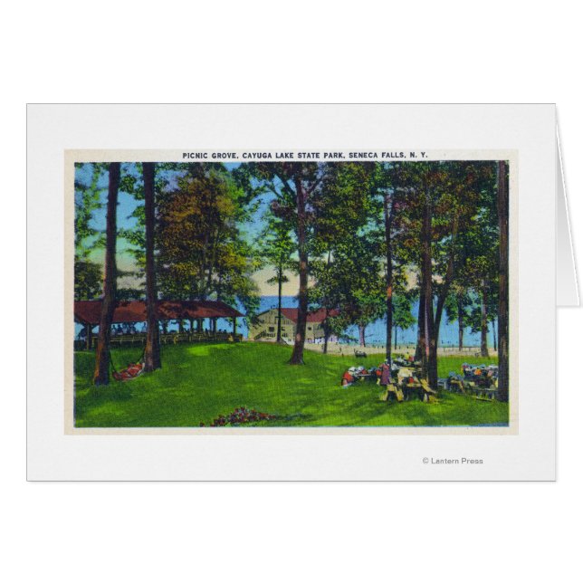 State Park Scene bij het meer Cayuga (Voorkant Horizontaal)