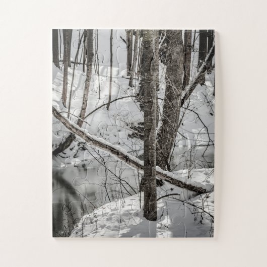 State Park Snow Natuur Winter Legpuzzel (Verticaal)