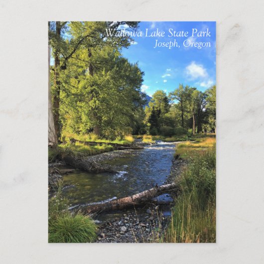 State Park Wallowa Lake, OR Briefkaart (Voorkant)