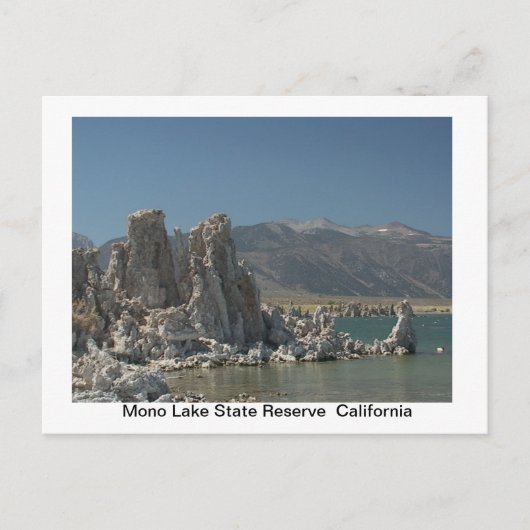 State Parks Post Card Briefkaart (Voorkant)