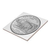 State Quarter North Dakota Tegeltje (Zijkant)